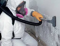 Best Basement Mold Removal in Columbia Falls, MT